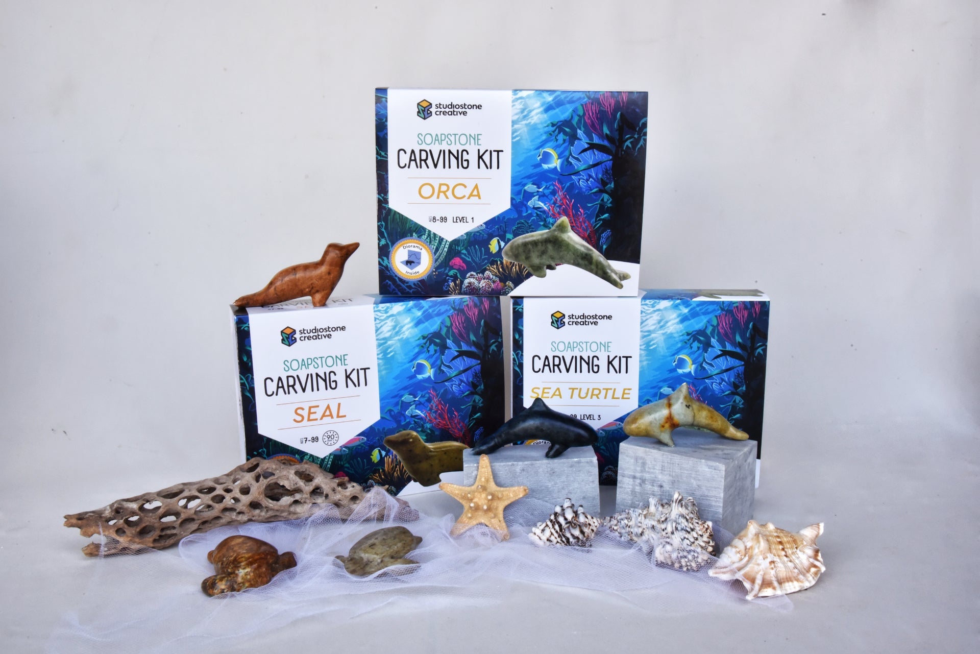Ocean Series