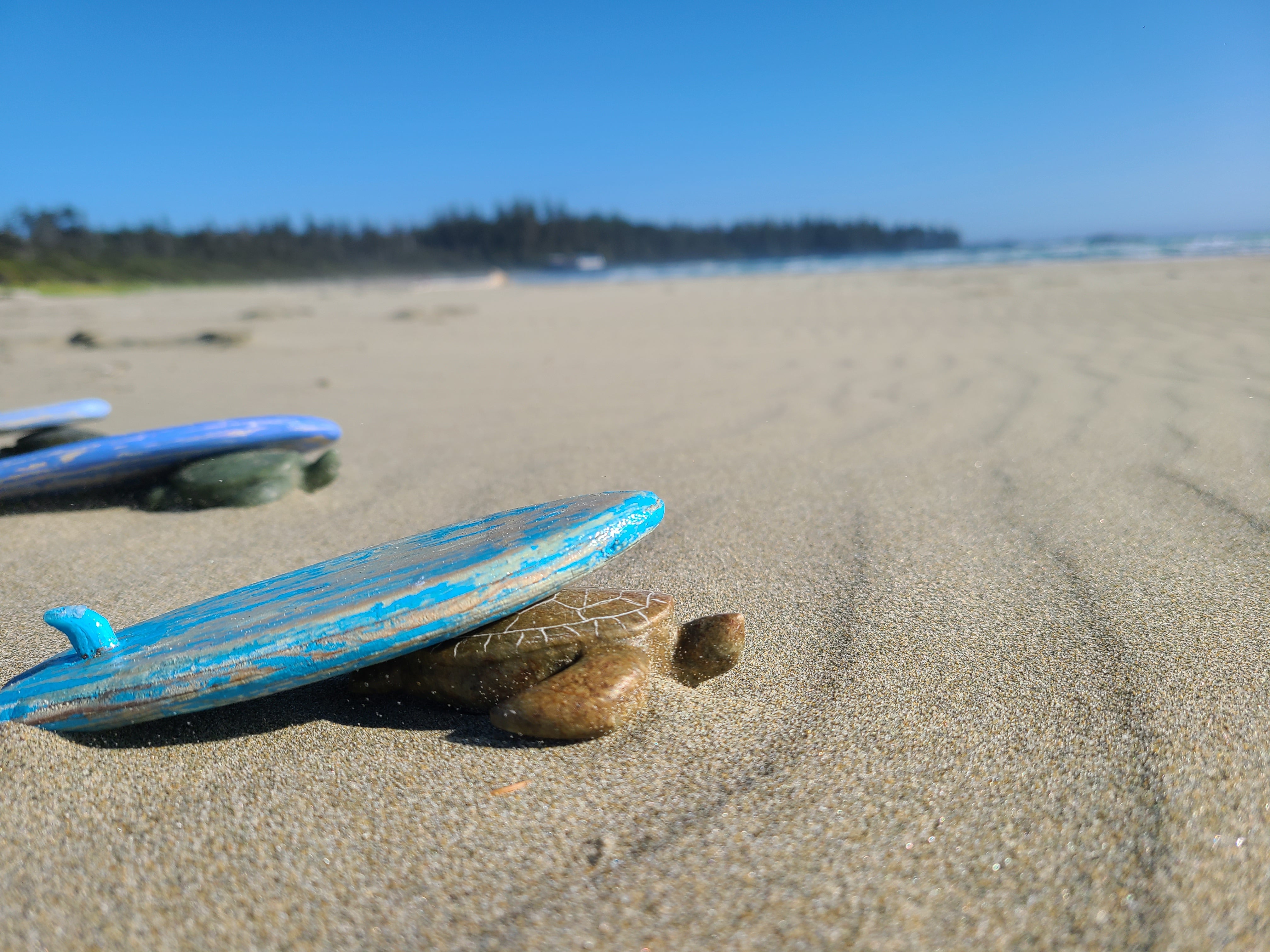 Sea Turtle Soapstone Carving Kit