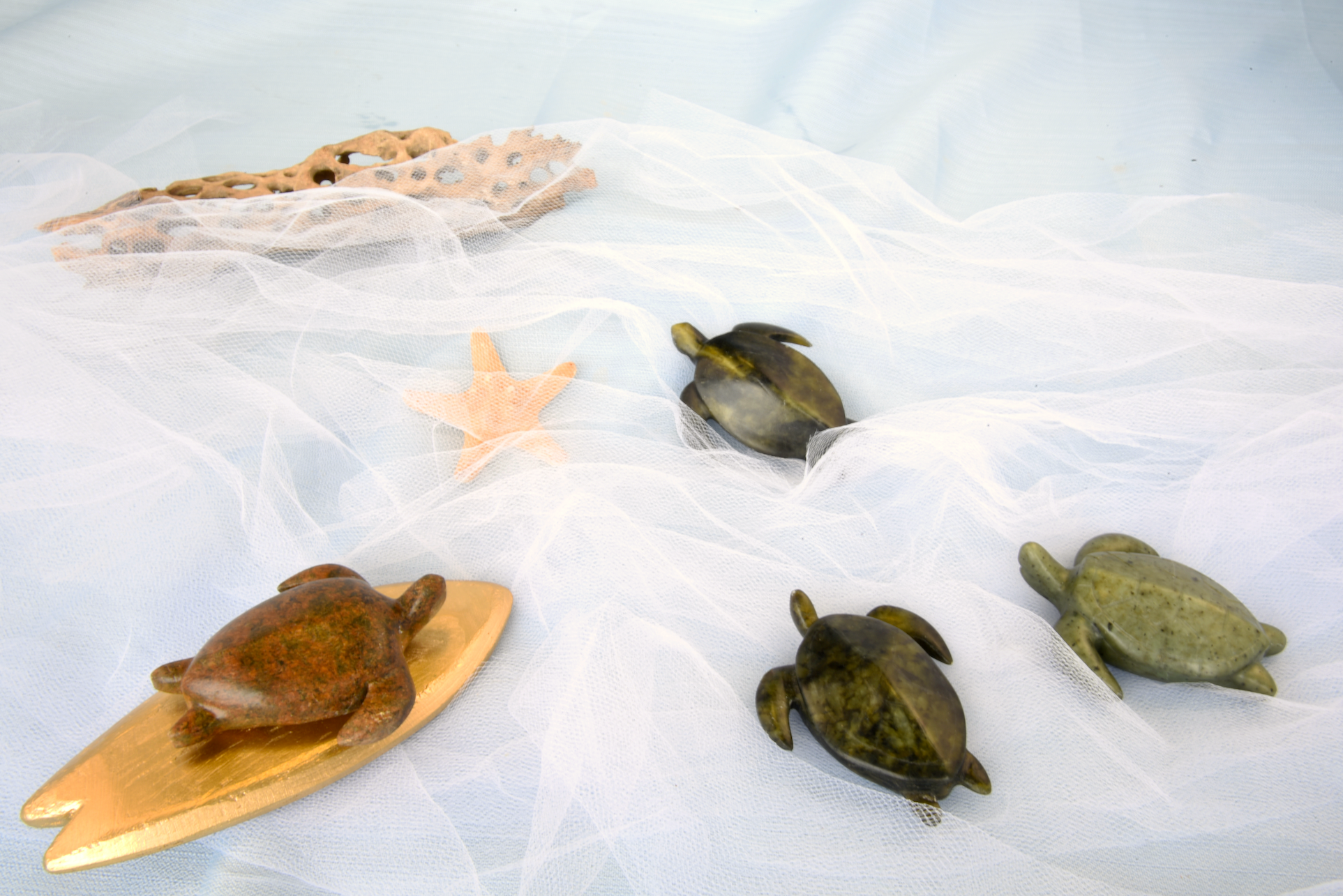 Sea Turtle Soapstone Carving Kit