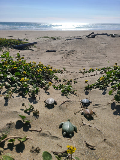 Kit de Escultura em Pedra-sabão – Tartaruga-marinha