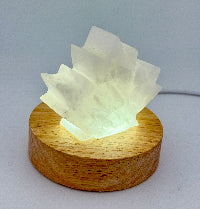 Maple Leaf Alabaster Carving Project