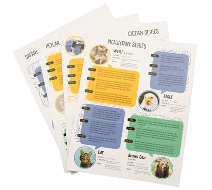 Polar Bear & Penguin Double Alabaster Carving Kit