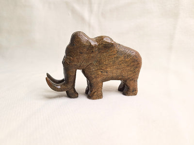 Kit de Escultura – Mamute-lanoso