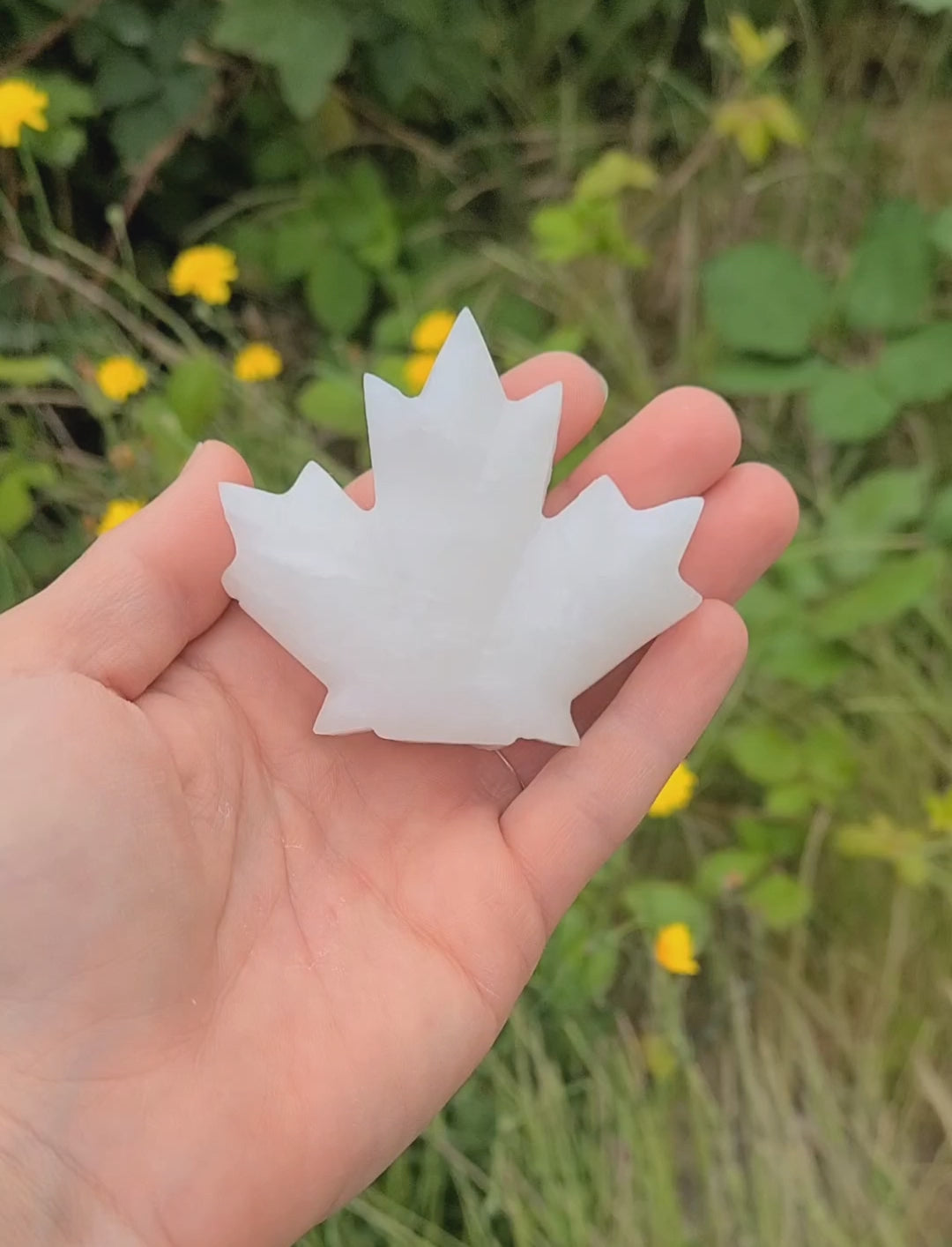 Charger la vidéo: Maple Leaf Alabaster Carving Project