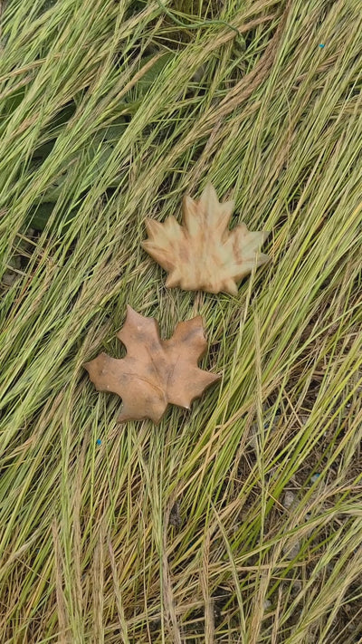 Kit de Escultura em Pedra-sabão – Folha de Ácer