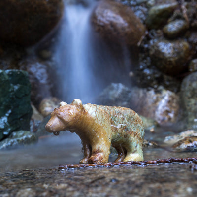 Bear Soapstone Carving Kit